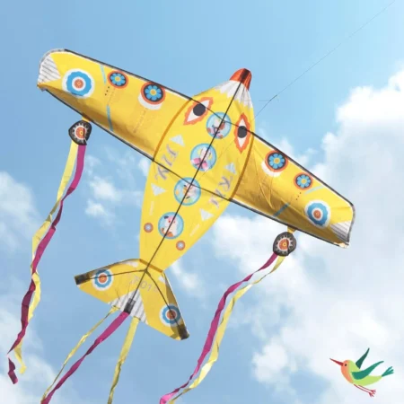 Papagaio Maxi Plane