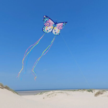 Papagaio Djeco Maxi Butterfly