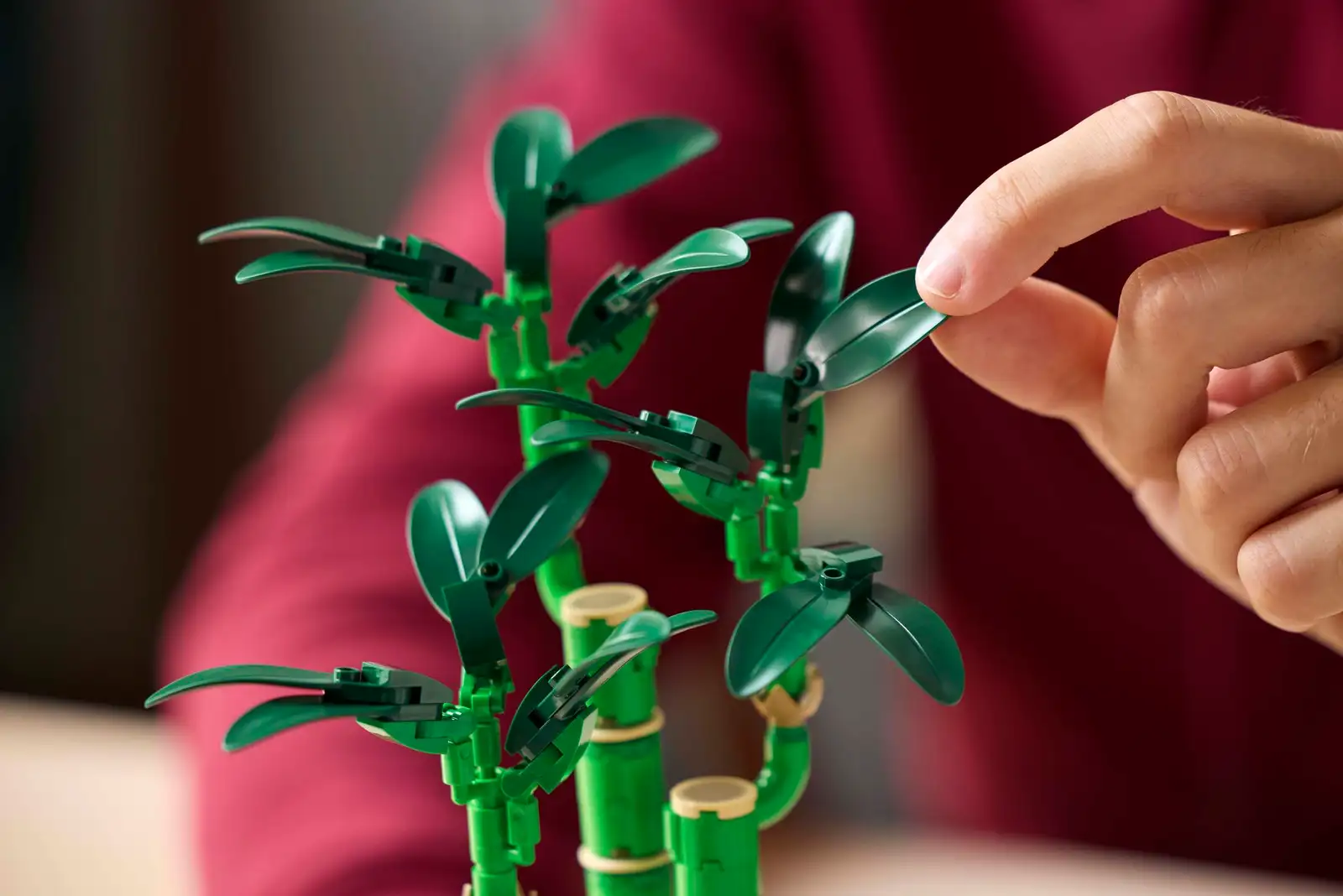 Lego 10344 Botanicals Bambu