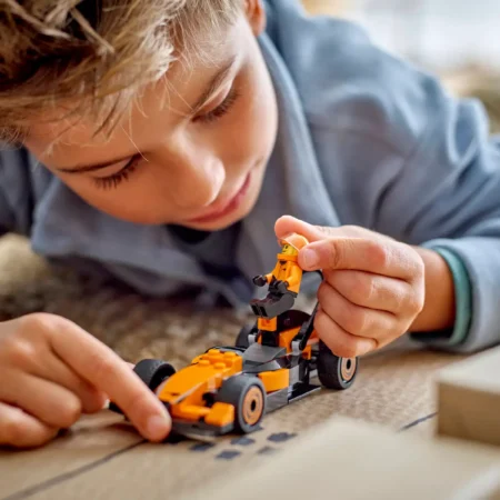LEGO city 60442