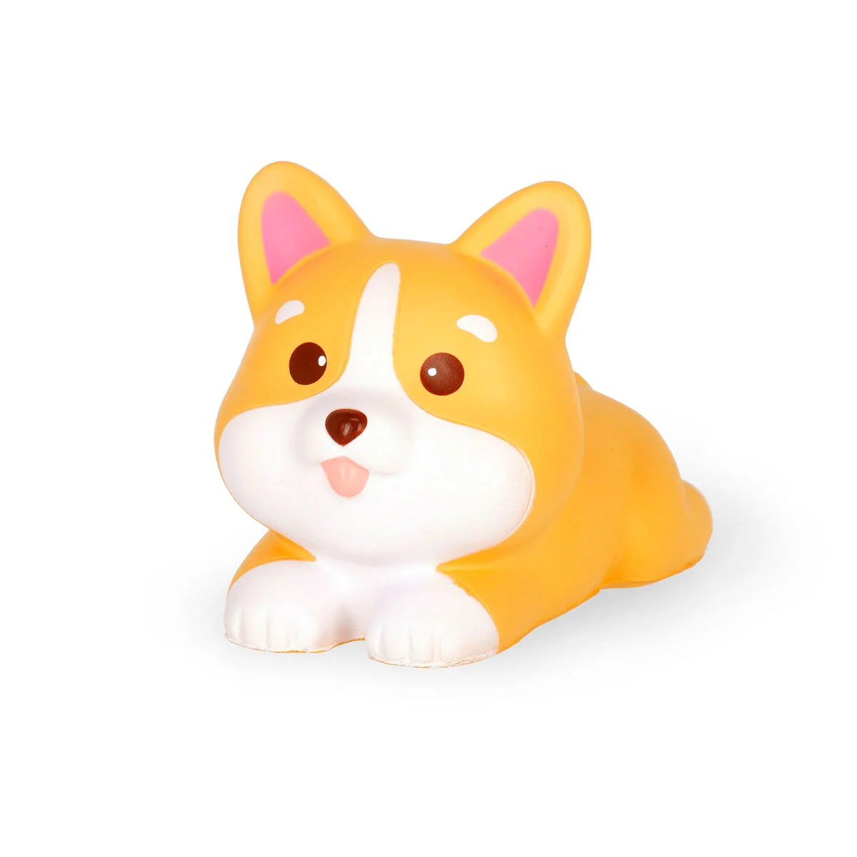 Legami corgi anti stress