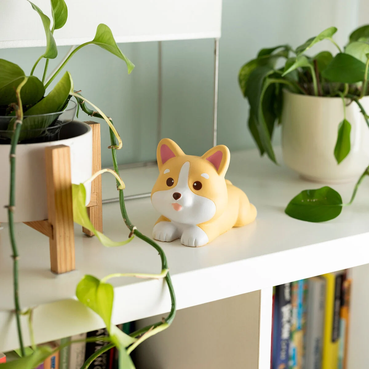 Legami corgi anti stress