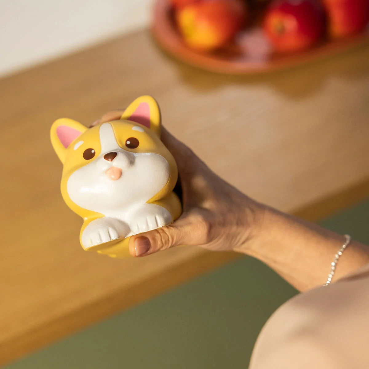 Legami corgi anti stress