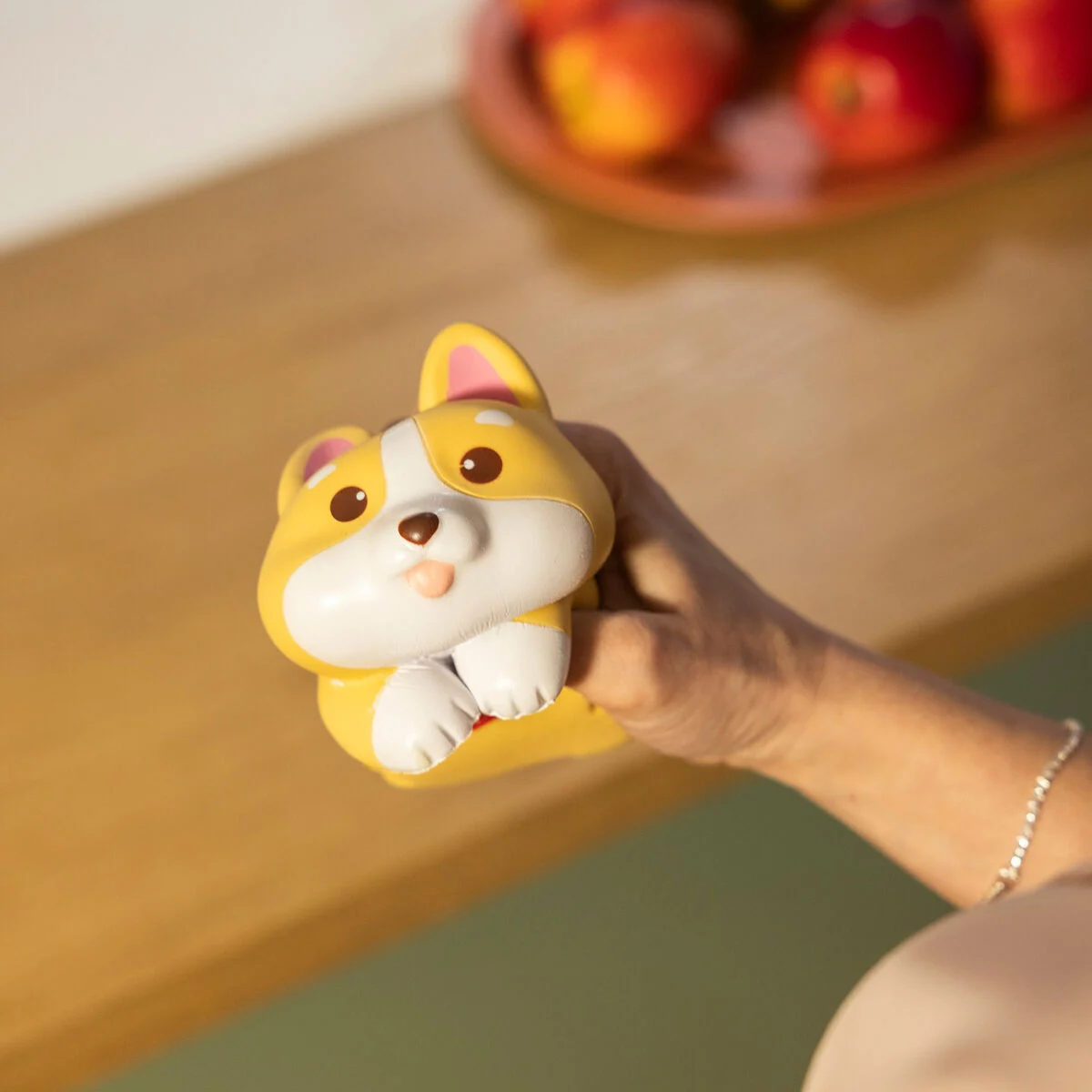 Legami corgi anti stress
