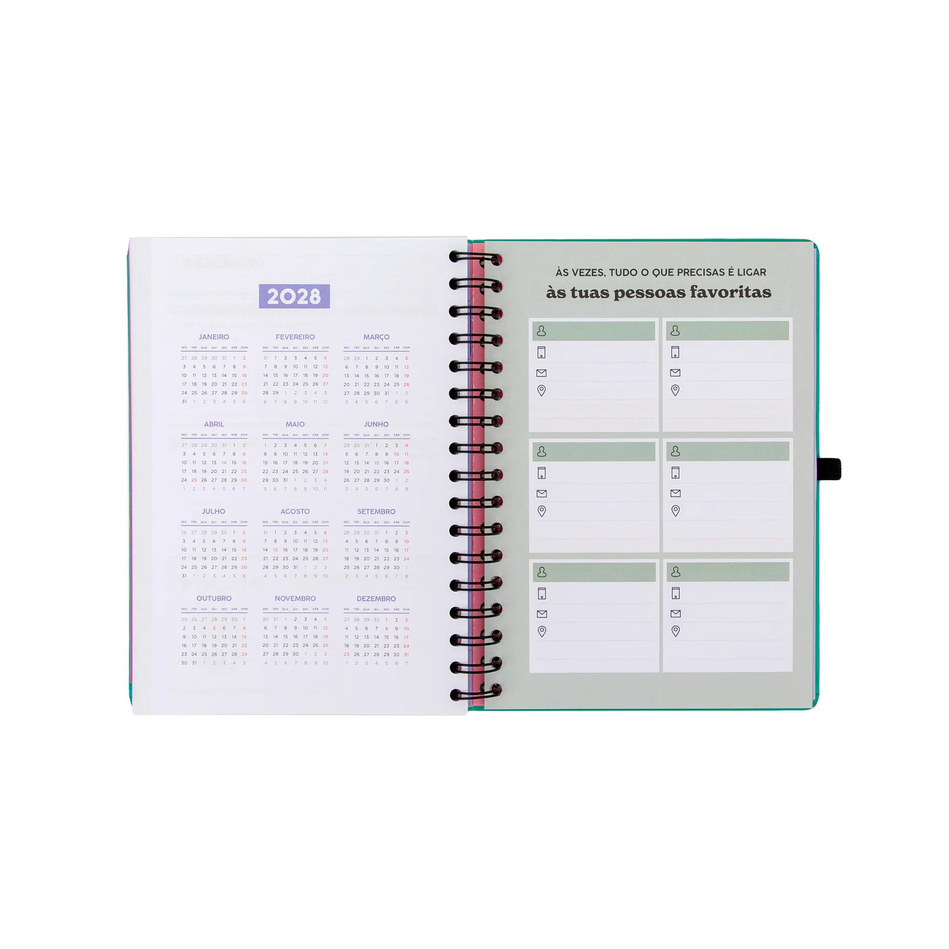 Agenda Mr. Wonderful 2026-27 Semanal 18 meses - Sonha muito, vive livre - Image 5