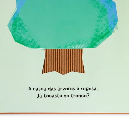 As Texturas à Tua Volta